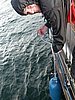DSCN3954.JPG